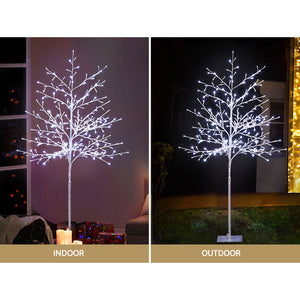 Christmas Tree | 1.5M | 304 LED Solar Powered