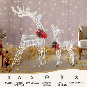 Christmas Lights | 2 PCS | 170 LED | Fairy Light Reindeer Decorations | | Festive Lighting