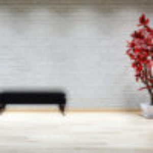 Black Velvet Castor Bench | Solid Mango Wood | Button Tufted Upholstery | Classic Seating