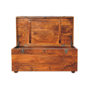 Buffalo Hide Chestnut Storage Trunk | Artisan-Crafted Design