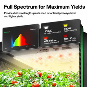 Mini Smart Indoor Grow Tent Kit | 2x2 ft | 100W Full Spectrum LED
