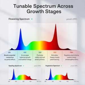 PRO Tunable-Spectrum Grow Tent System | 4x4 ft | 550W LED | 360° Airflow