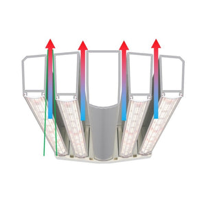 DLI Toplighting LED Fixture - 358W