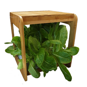 Wooden Kitchen Smart Garden With LED Grow Light