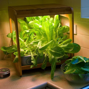 Wooden Kitchen Smart Garden With LED Grow Light