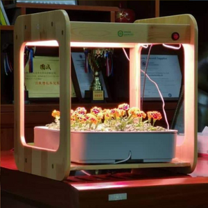 Wooden Kitchen Smart Garden With LED Grow Light