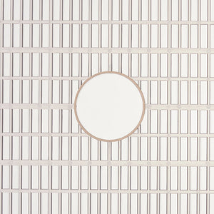 Food Dehydrator Add On Tray X2