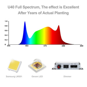 LED Grow Light | Koray G80 | Samsung + Osram Diodes | Full Spectrum