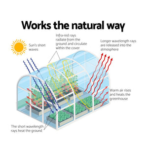 Greenhouse Garden Tunnel Shed - 6M X 3M