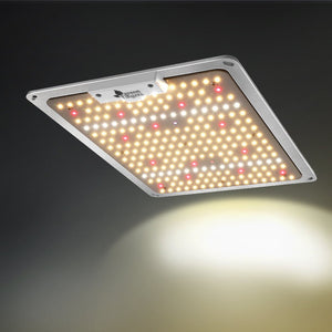 GF 1000W Full Spectrum LED Grow Light - 2.6 umol/J