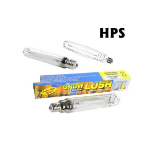 GL HPS 600W Lamp Bulb - 2100K