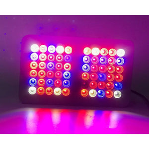 Growlush Eco COB LED - 300W