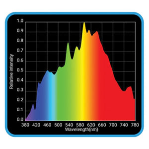 Hortivision 3K CMH Lamp - 315W