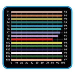 Hortivision 3K CMH Lamp - 315W