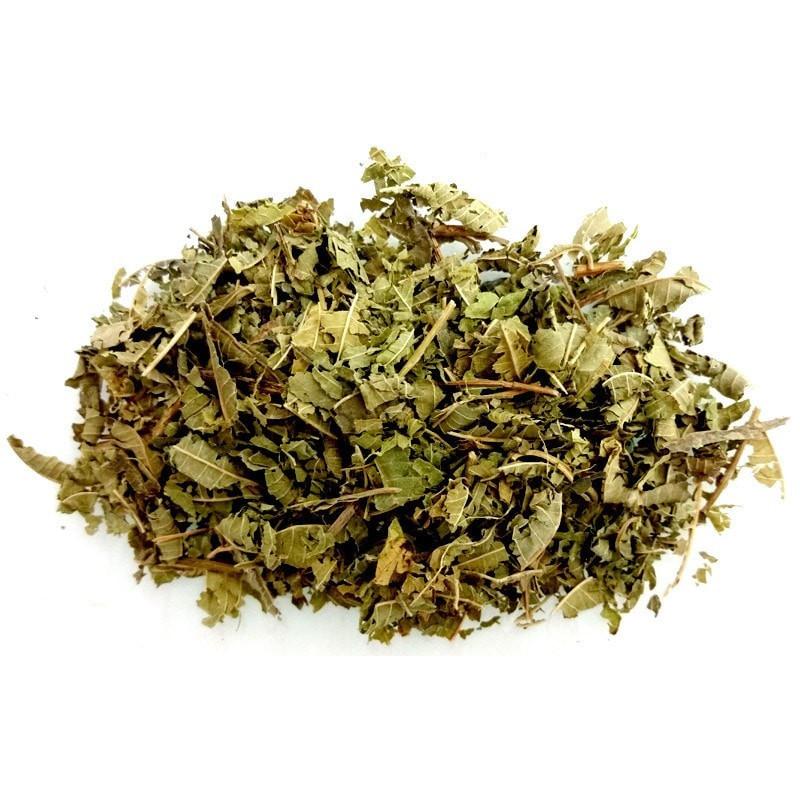 Lemon Verbena