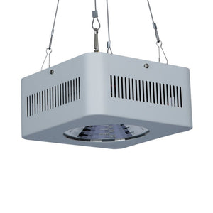 Lushpro 100W LED Grow Light