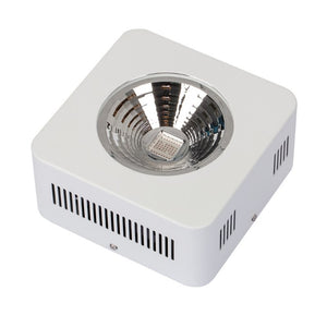 Lushpro 100W LED Grow Light