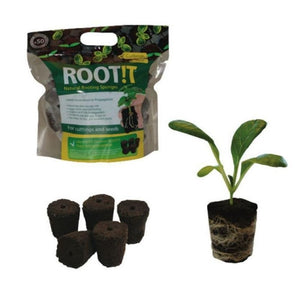 Root It Sponge Refill Bag - 50 Sponges