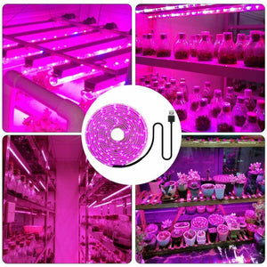 USB Propagation LED Grow Light Strips | Various Sizes