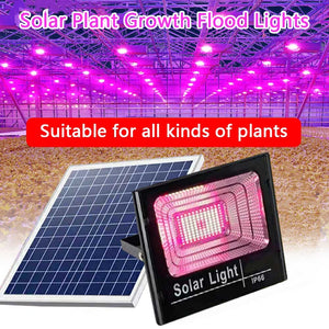 Outdoor Solar LED Flood Grow Light | IP66 | 35-60 Watts