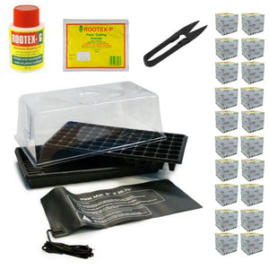 Starters Propagation Kit - For Larger Plants