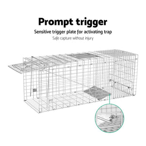 Humane Animal Trap | Live Catch Possum Cage | Rabbit Cat Hare Fox
