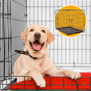 4Paws Foldable Pet Crate | 36" Metal Cage | Portable and Black