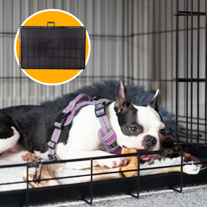 4Paws Foldable Pet Crate | 36" Metal Cage | Portable and Black