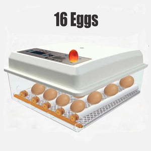 16-Egg Incubator | Fully Automatic Digital Thermostat for Chicken Eggs & Poultry