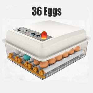 36 Egg Incubator Fully Automatic | Digital Thermostat Chicken Eggs Poultry