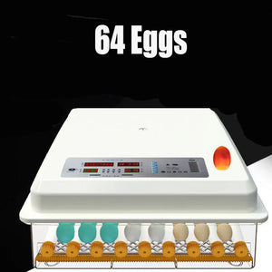 64 Egg Incubator Fully Automatic | Digital Thermostat Chicken Eggs Poultry