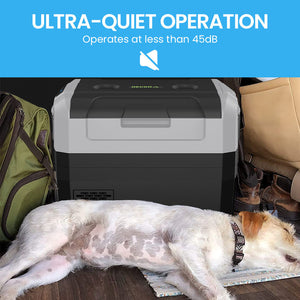 Gecko 55L Portable Fridge Freezer | Camping, Car, Caravan, Boats | 12V/24V/240V