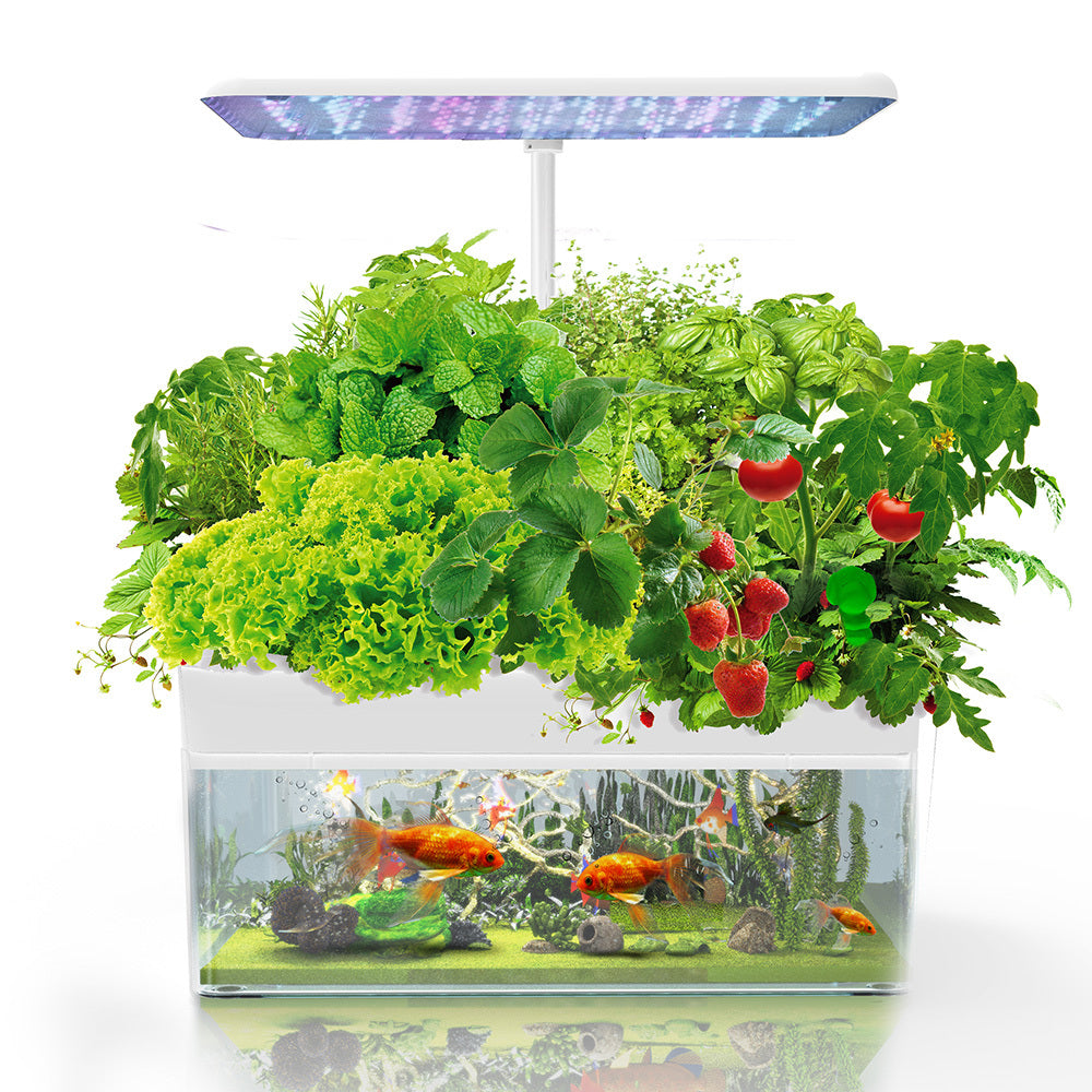 PLANTCRAFT 12 Pod Indoor Hydroponic Growing System | Fish Tank