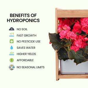 PLANTCRAFT 12 Pod Indoor Hydroponic Growing System | Bamboo Frame & LED Lights