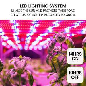 PLANTCRAFT 12 Pod Indoor Hydroponic Growing System | Bamboo Frame & LED Lights