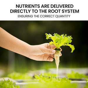 PLANTCRAFT 12 Pod Indoor Hydroponic Growing System | Bamboo Frame & LED Lights