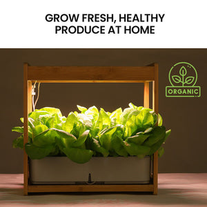 PLANTCRAFT 12 Pod Indoor Hydroponic Growing System | Bamboo Frame & LED Lights