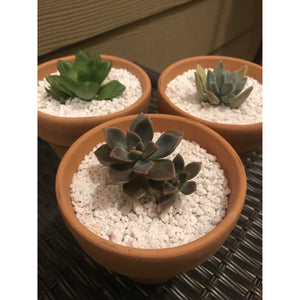 20L Perlite Organic Super Coarse Soil | Premium Expanded Medium for Hydroponics