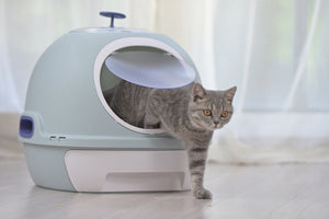 Hooded Cat Toilet Litter Box Tray House | With Drawer & Scoop, Blue