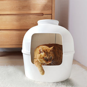 Multifunctional Cat Litter Box Pet House | Semi-Enclosed, White