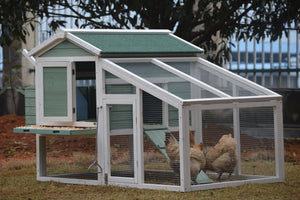 Large Green Chicken Coop | Rabbit Hutch, Ferret & Guinea Pig Cage