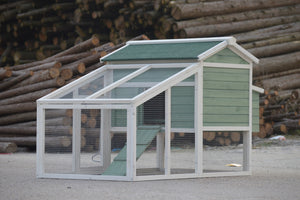Large Green Chicken Coop | Rabbit Hutch, Ferret & Guinea Pig Cage