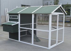 XXXL Walk-in Chicken Coop | Rabbit, Guinea Pig, Ferret, Cat House