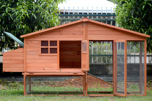 XL Chicken Coop Rabbit Hutch | Ideal for Guinea Pigs and Ferrets
