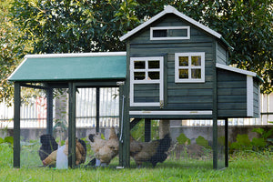 XL Chicken Coop Rabbit Hutch | Guinea Pig & Ferret House