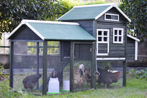 XL Chicken Coop Rabbit Hutch | Guinea Pig & Ferret House