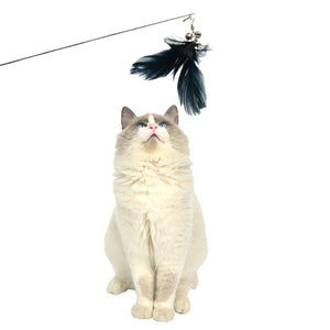 2 x Pet Cat Toys Retractable Feathers Teaser Cat Stick | Interactive Play