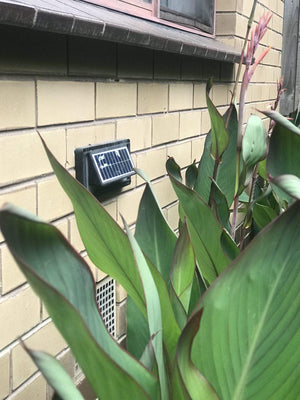 Solar Step Lights | Outdoor Solar-Powered Lights