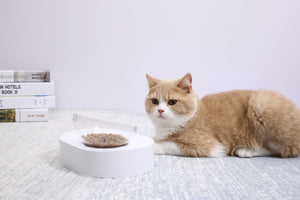 Fresh Nano-15 Adjustable Cat Feeding Bowl - Single