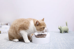Fresh Nano-15 Adjustable Cat Feeding Bowl - Single